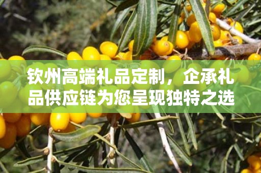 钦州高端礼品定制，企承礼品供应链为您呈现独特之选